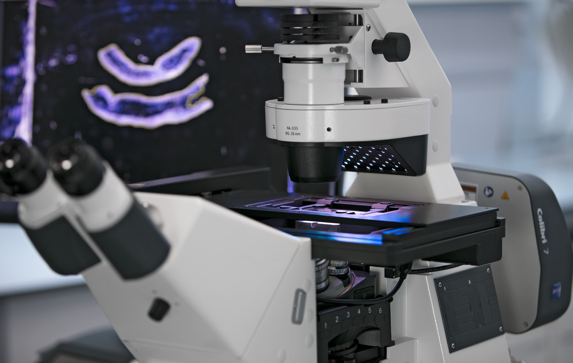 Special offer to upgrade your ZEISS microscope